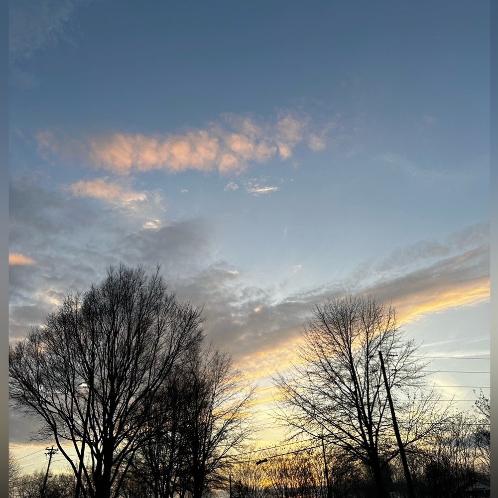 Meet your Posher, Tricia